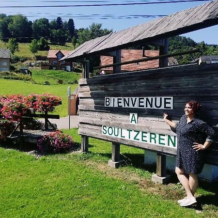 Residence Soansa Du Gerardmer - Col De La Schlucht Soultzeren エクステリア 写真
