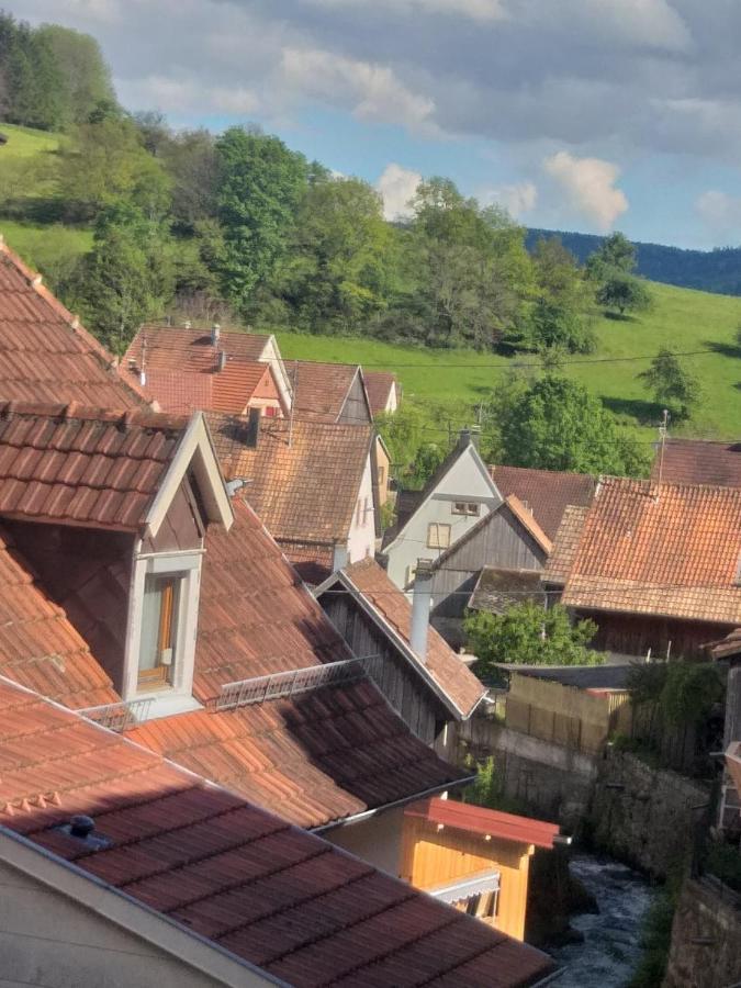 Residence Soansa Du Gerardmer - Col De La Schlucht Soultzeren エクステリア 写真