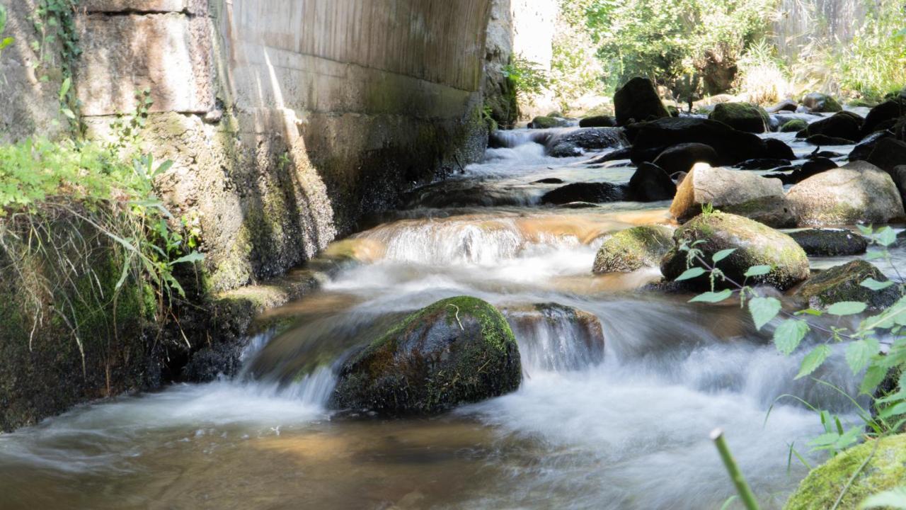 Residence Soansa Du Gerardmer - Col De La Schlucht Soultzeren エクステリア 写真